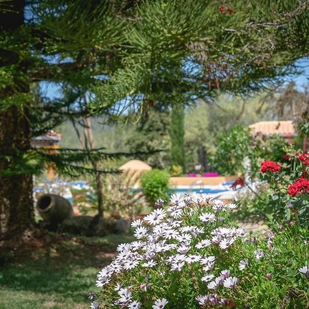 Can Joan Vich I Santa Eularia des Riu Eksteriør billede